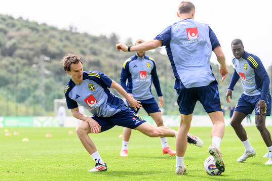 Hjalmar Ekdal of the Swedish men's national football team
