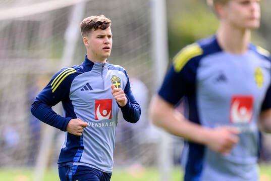 Samuel Dahl of the Swedish men's national football team
