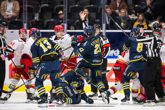 Södertäljes Nolan Stevens