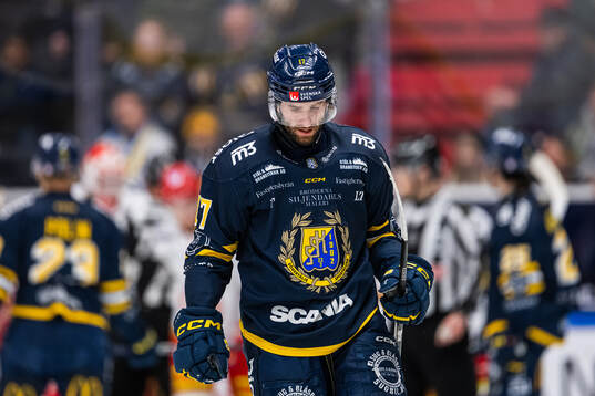 Södertäljes Amil Krupic
