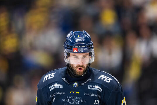 Södertäljes Amil Krupic