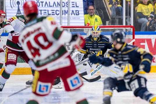 HV71s målvakt Frederik Dichow