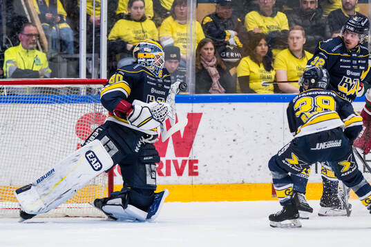 HV71s målvakt Frederik Dichow