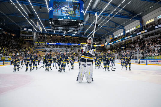 HV71s målvakt Frederik Dichow jublar