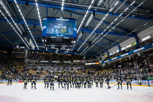HV71s spelare jublar