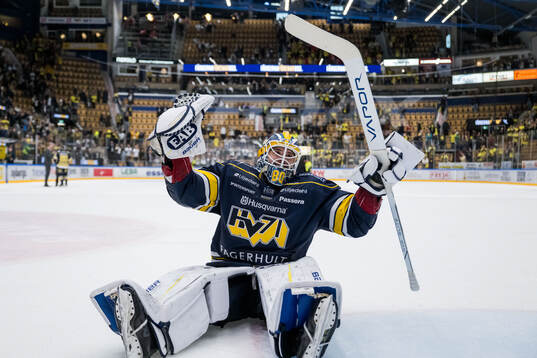 HV71s målvakt Frederik Dichow jublar
