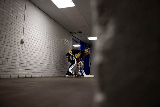 HV71s målvakt Frederik Dichow