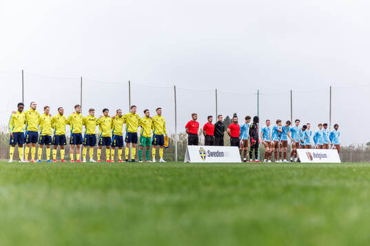 Players of Sweden and of Belgium