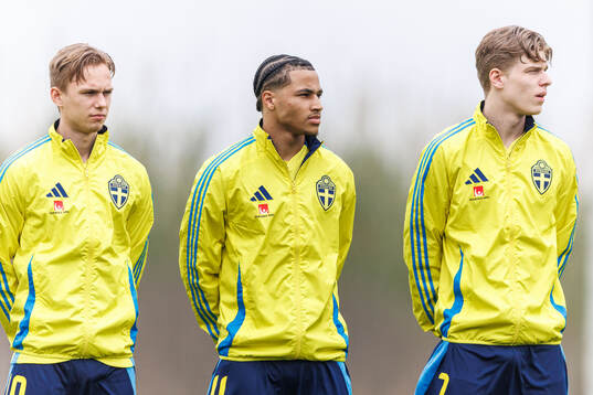 Pontus Dahbo, Momo Sonko and Gottfrid Rapp of Sweden