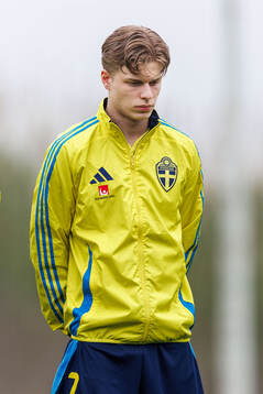 Gottfrid Rapp of Sweden