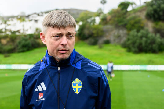 Head coach Jon Dahl Tomasson of the Swedish men's national