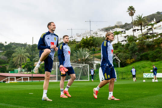 Gustaf Nilsson, Gabriel Gudmundsson and Sebastian Nanasi of