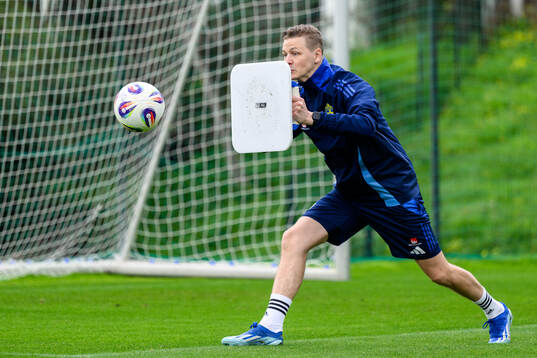 Goalkeeper coach Maths Elfvendal of the Swedish men's