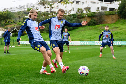 Sebastian Nanasi and Benjamin Nygren of the Swedish men's