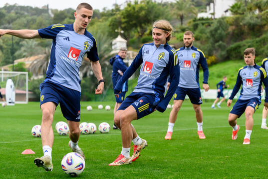 Gustaf Lagerbielke and Sebastian Nanasi of the Swedish