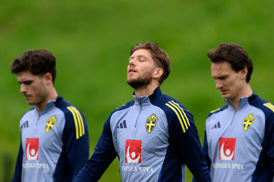 Anton Saletros of the Swedish men's national football team