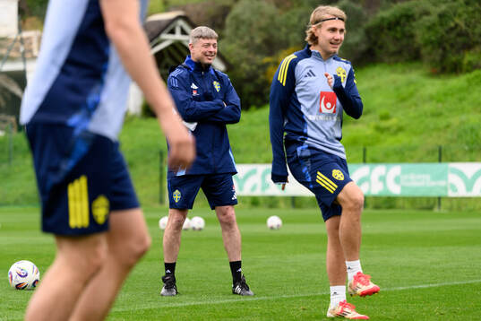 Head coach Jon Dahl Tomasson of the Swedish men's national