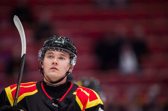 Brynäs Theo Lindstein