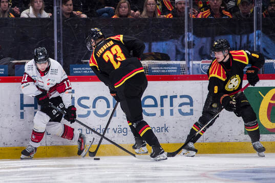Malmö Redhawks Nikola Pasic och Brynäs Oskar Lindblom och
