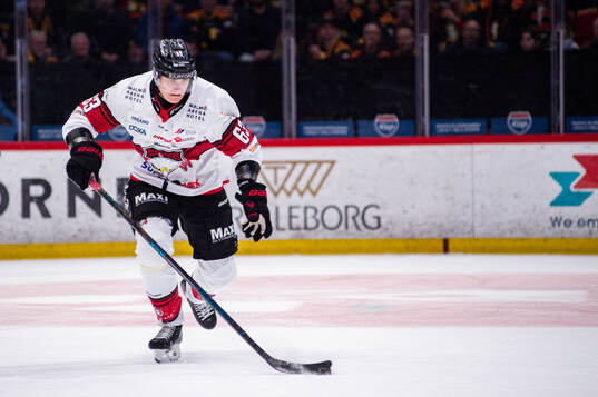 Malmö Redhawks Fredrik Händemark