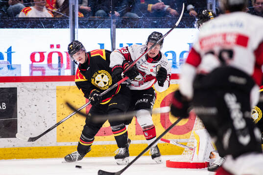 Brynäs Victor Söderström och Malmö Redhawks Petter