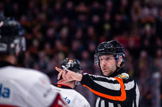 Domare Mikael Sjöqvist