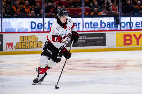 Malmö Redhawks Dominik Badinka