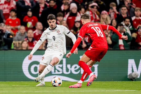 Pedro Neto of Portugal