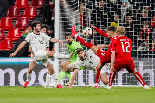 Joao Neves, goalkeeper Diogo Costa and Ruben Dias of