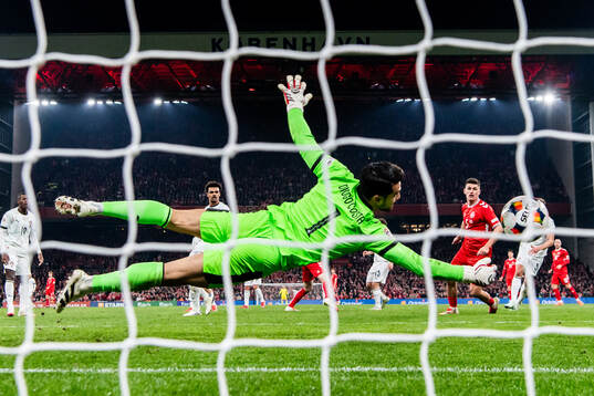 Goalkeeper Diogo Costa of Portugal makes a save
