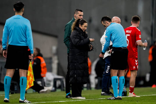 Referee Irfan Peljto