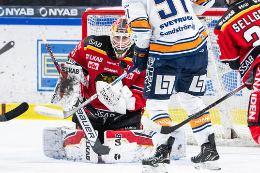 Luleås målvakt Matteus Ward