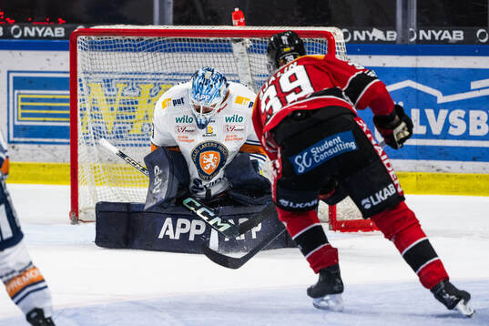 Växjös målvakt Emil Larmi