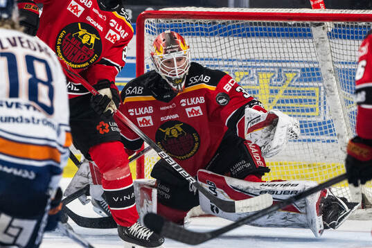 Luleås målvakt Matteus Ward