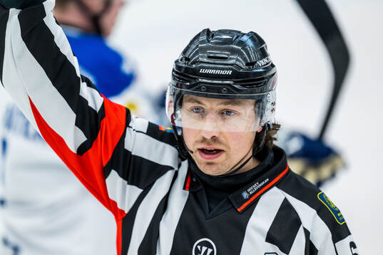 Domare Robin Jacobsson