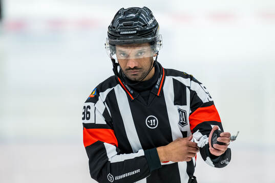 Domare Fredrik Rönnberg