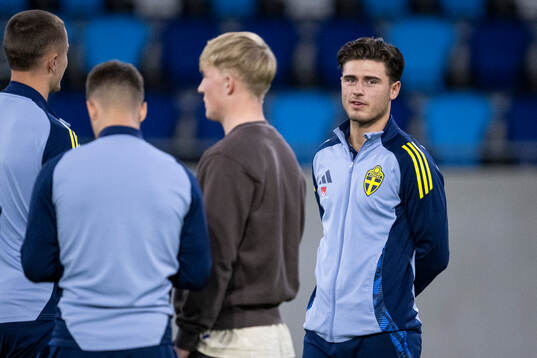 Besfort Zeneli of the Swedish men's national football team