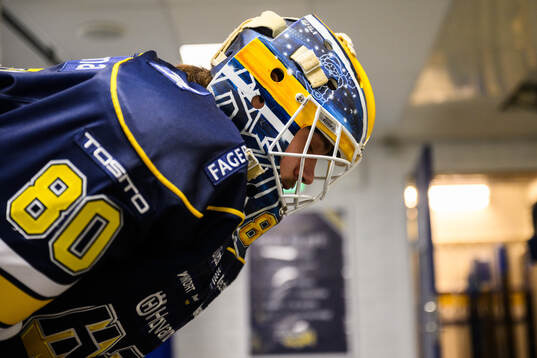 HV71s  målvakt Frederik Dichow