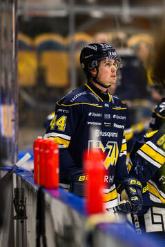 HV71s Hugo Fransson