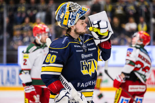 HV71s målvakt Frederik Dichow
