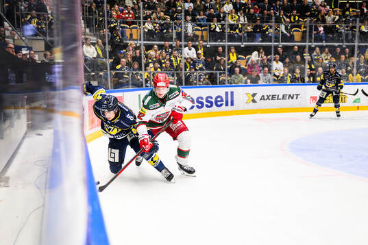 HV71s Hugo Fransson och Modos Theodor Niederbach