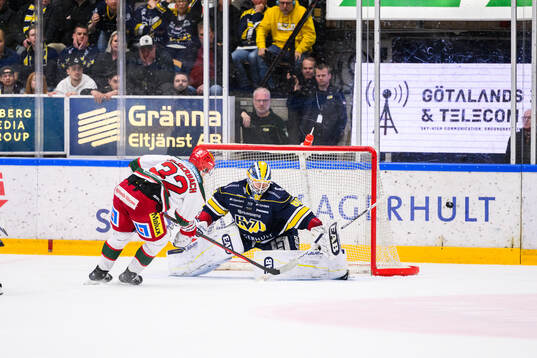 HV71s målvakt Frederik Dichow