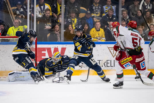 HV71s målvakt Frederik Dichow