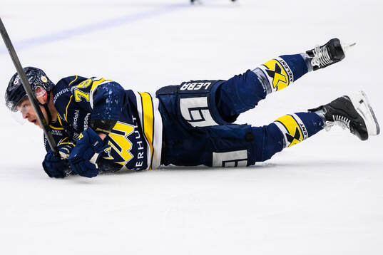 HV71s Radan Lenc