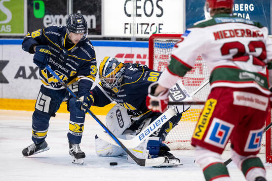 HV71s målvakt Frederik Dichow