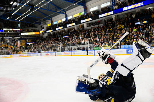HV71s målvakt Frederik Dichow jublar
