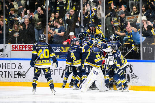 HV71s spelare jublar