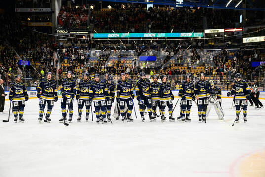 HV71s spelare jublar