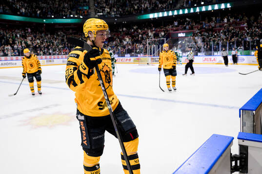 Skellefteås Rickard Hugg deppar