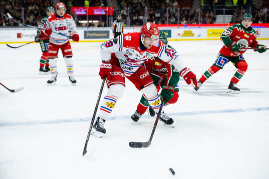 Timrås Filip Hållander